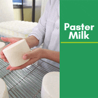 PasterMilk